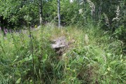 Церковь Николая Чудотворца в Ногино