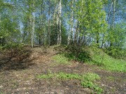 Церковь Благовещения Пресвятой Богородицы в Скарисово