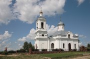 Церковь Илии Пророка в Ильинском