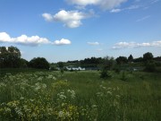 Часовня в Богородицком