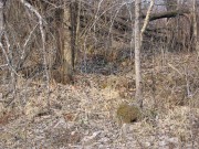 Церковь Николая Чудотворца в Криворезово