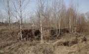 Церковь Димитрия Солунского в Клёне