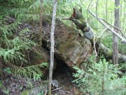 Церковь в Михайловском (каменная)