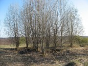 Церковь Иконы Божией Матери Владимирская в Королятино