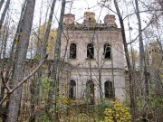 Церковь Положения Ризы Божией Матери во Влахерне в Озерках