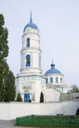 Церковь Илии Пророка в Панино