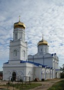 Церковь Рождества Христова в Ельце