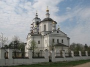 Церковь Троицы Живоначальной в Троицком-Шереметьево