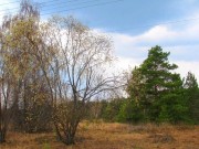 Церковь Параскевы (Пятницы) Великомученицы в Коровино