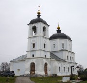 Церковь Николая Чудотворца в Васютино