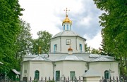 Церковь Спаса Всемилостивого в Андреевке