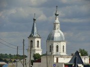 Церковь Троицы Живоначальной в Аламасово