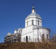 Церковь Троицы Живоначальной в Шелокше