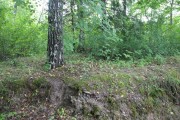 Церковь Троицы Живоначальной в Рясино
