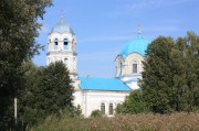 Церковь Рождества Христова в Савватьме
