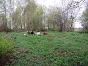 Церковь Вознесения Господня на Березе