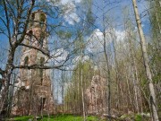 Церковь Иконы Божией Матери Владимирская в Толстиково