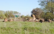 Церковь Параскевы (Пятницы) Великомученицы в Карниках