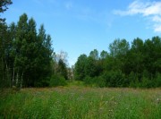 Церковь Благовещения Пресвятой Богородицы в Мишехонье