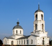 Церковь Троицы Живоначальной в Тресоруково